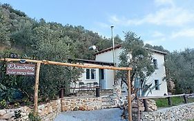 Ελαιώνας