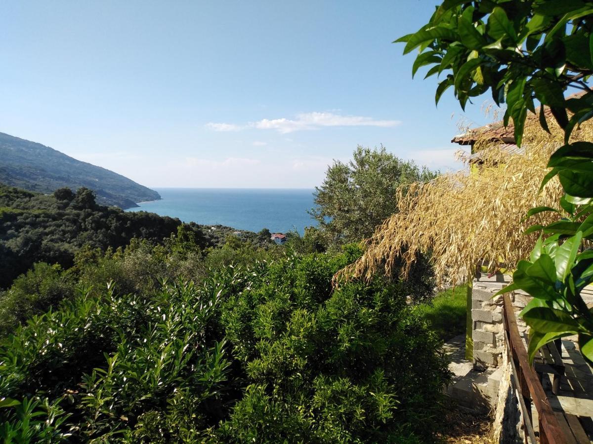 Ελαιώνας Βίλα Χορευτό Εξωτερικό φωτογραφία