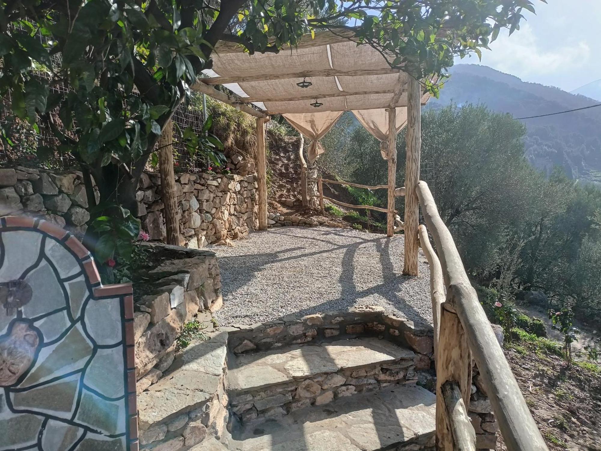 Ελαιώνας Βίλα Χορευτό Εξωτερικό φωτογραφία